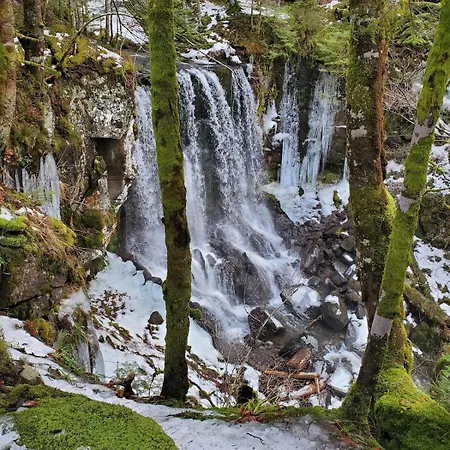 Aux 4 Saisons בית נופש